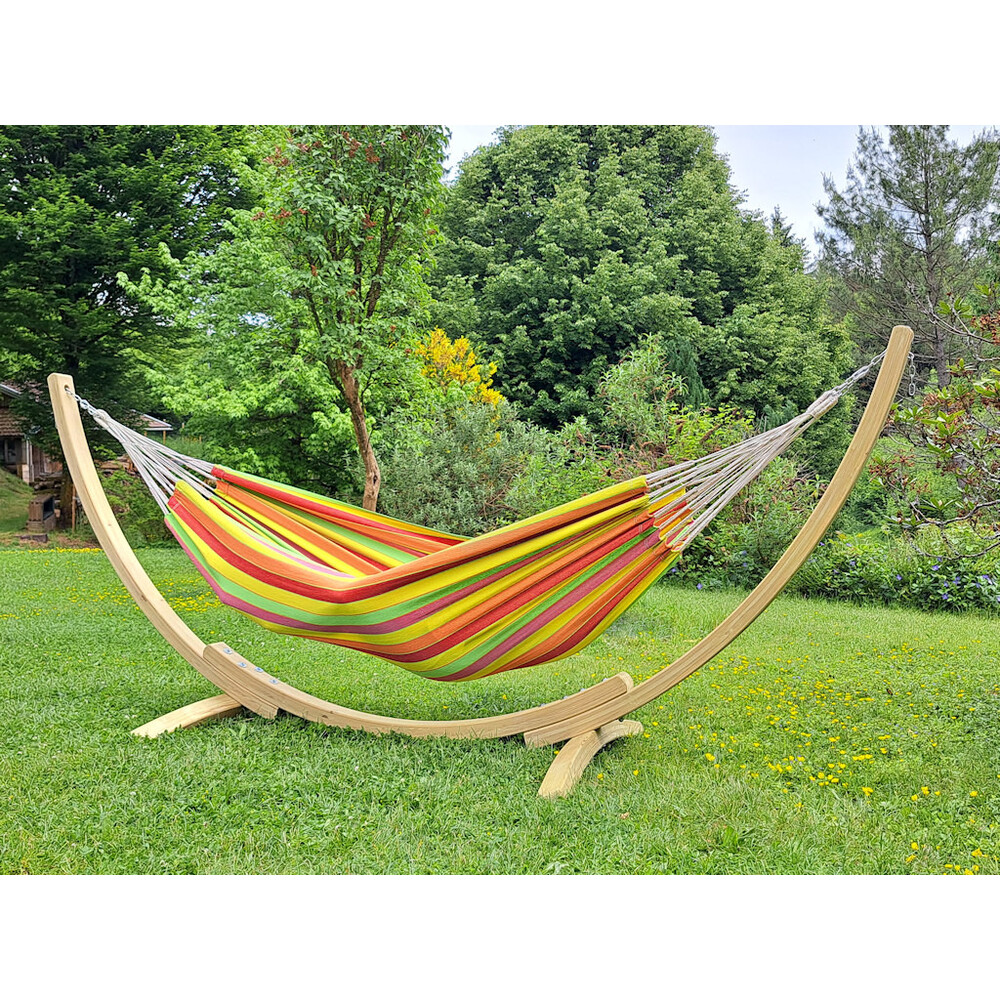 Support Apollo + solo Pastela