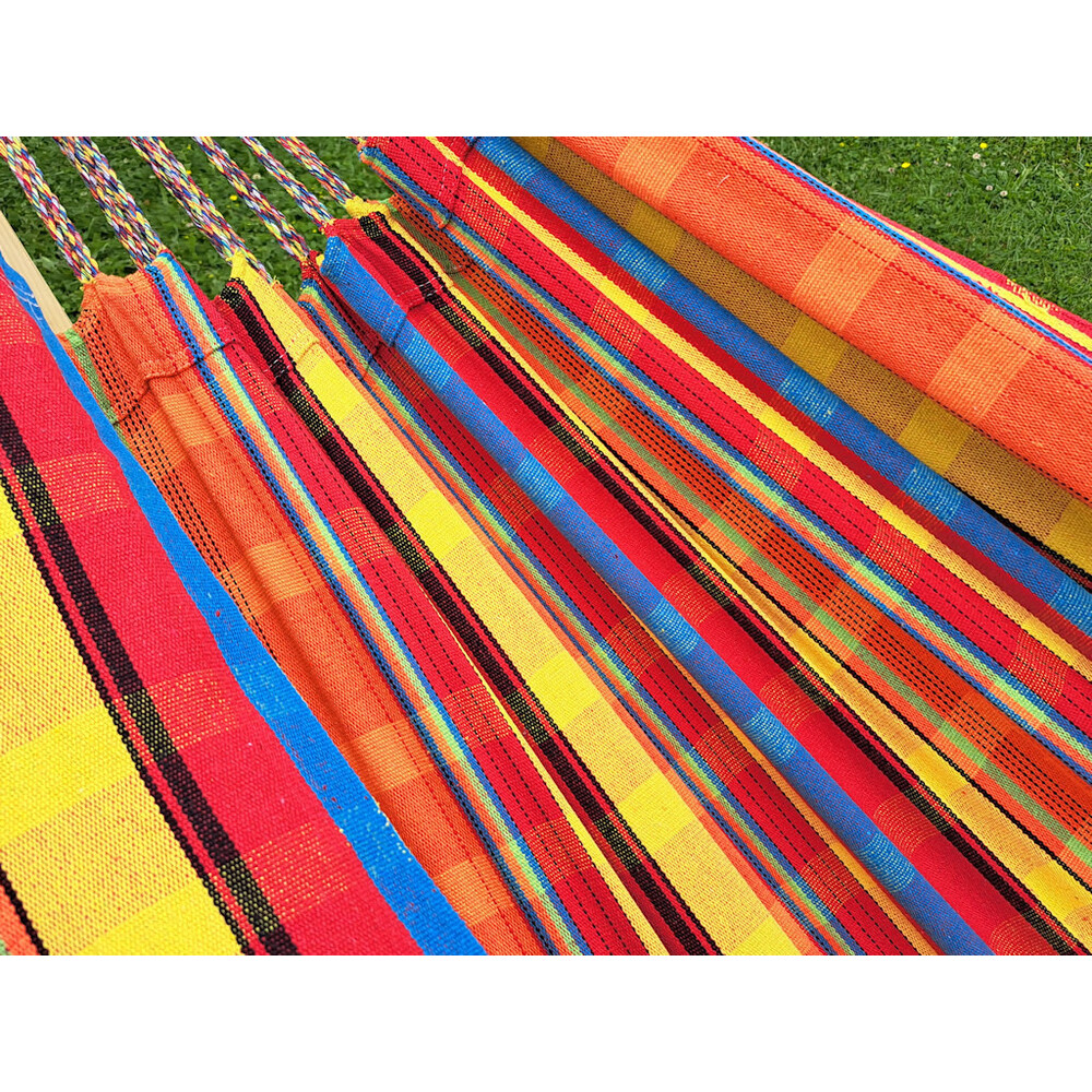 Support Apollo + solo Zinnia